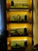 DSC04454.JPG
