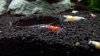 20131227_090156_resized.jpg