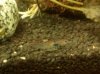 IMG_20131230_220302.jpg