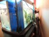 DSCN3175.JPG DSCN3175.JPG