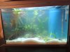 DSCN3177.JPG DSCN3177.JPG