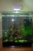 60l Cube neu640.jpg 60l Cube neu640.jpg
