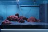 DSC04341_1280.JPG