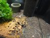 DSC08056.JPG