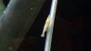 20140115_121456_resized.jpg
