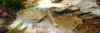 IMG_20140115_184003.JPG