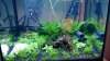 Becken 1 14012014.jpg Becken 1 14012014.jpg