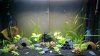 Becken 126L 1 14012014.jpg Becken 126L 1 14012014.jpg