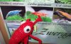 100_9038.JPG