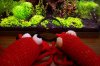 100_9042.jpg