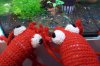 100_9064.JPG