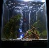 Aquariumklein11.JPG