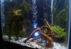 Aquariumklein22.JPG