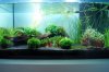 DSC04403.JPG