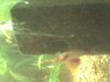 DSC00435.JPG