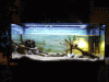 Rohbau-Idee1.gif