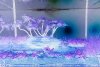 20140124 negativ.jpg