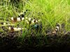 20130924_150635.jpg