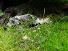20130801_140652.jpg