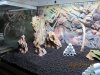 IMG_0168.JPG