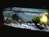 Becken-Neu.gif Becken-Neu.gif