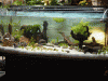 Becken5.gif Becken5.gif