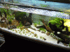 Becken4.gif Becken4.gif