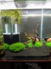 DSC08246.JPG
