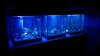 Aquarienreihe EG.jpg