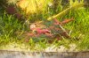 100_5812.JPG
