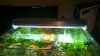 WP_20140214_003.jpg WP_20140214_003.jpg