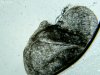 Img00079.jpg Img00079.jpg