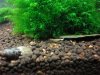 DSC08367.JPG