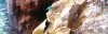 IMG_20140220_124403.JPG