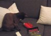 20140228 gepackt.jpg