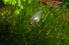 DSC_0586.JPG