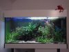 20140302 fischbecken.jpg