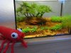 20140302 Minibecken.jpg