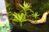 k-IMG_4769.JPG
