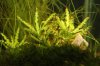 k-IMG_4770.JPG