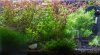 comp_IMG_7127.jpg