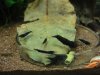 DSC08598.JPG