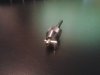 20140316_202955.jpg 20140316_202955.jpg
