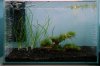 DSC04787.JPG