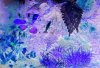 102_0113.JPG