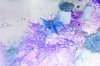 102_0177.JPG