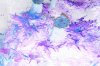 102_0184.JPG