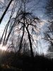 DSC_1890.jpg