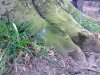 DSC_1893.jpg