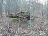 DSC_1900.jpg